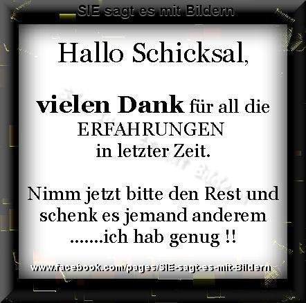 Download Rocky balboa zitate ich werde dir jetzt was sagen For iPhone Free