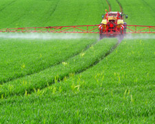 Krebserreger Glyphosat: EU-Kommission will Glyphosat-Zulassung verlängern