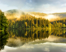 Wandern im Harz - Brocken, Talsperren und Naturdenkmäler warten!