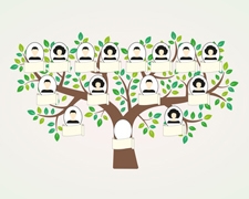 Genealogie für Anfänger