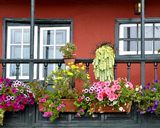 Dekorationen für den Balkon