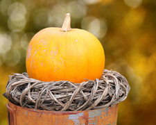 Schöne Herbstdekorationen zum Selbermachen