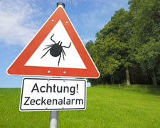Wenn die Zecke zusticht - 10 Tipps