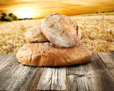 Das tägliche Brot