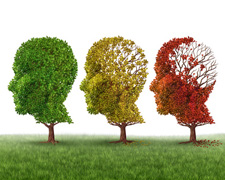 Tipps zur Vorbeugung von Alzheimer & Demenz